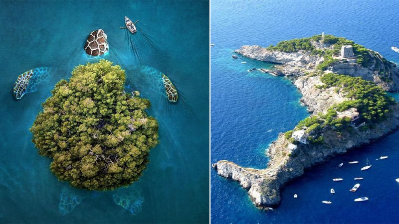 Islands Shaped Like Animals: Nature’s Artistry in Landforms