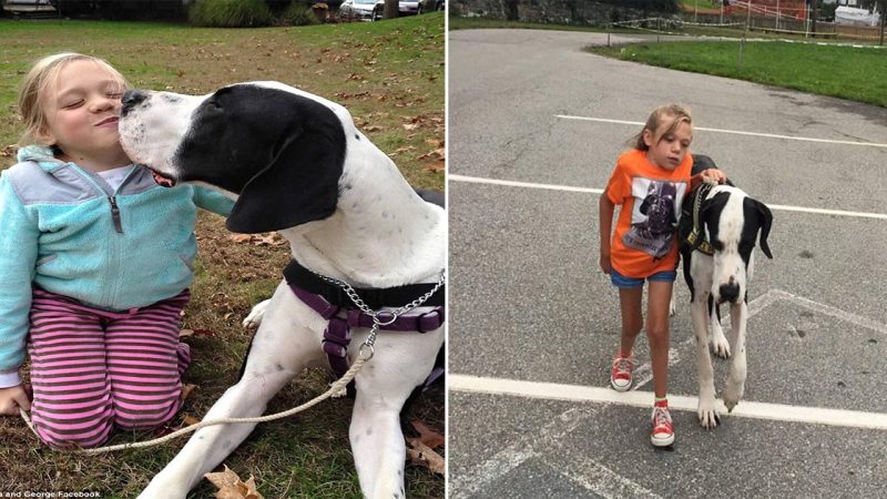 Lean on me: Girl, 11, with genetic condition which left her unable to walk takes her first steps in nine years with the help of her pet Great Dane George