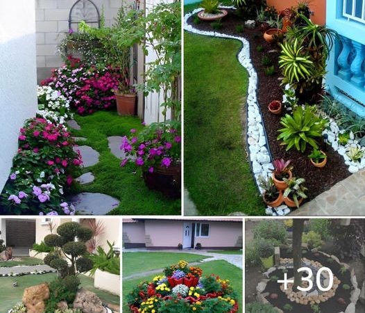 30 Easy & Cheap Landscaping Ideas to Update Your Outdoor Space