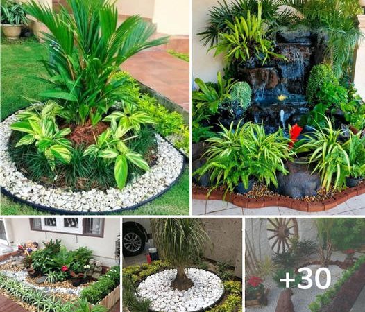 30 Great Ideas to Transform Your Garden on a Budget