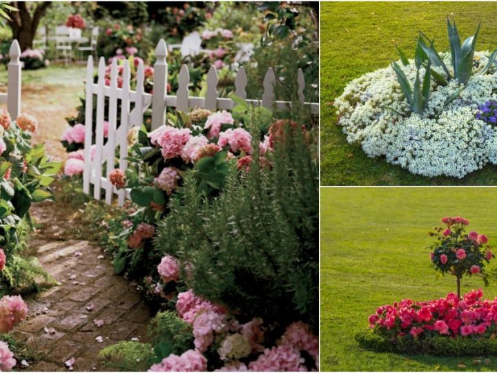 25 Stunning Flower Gardens to Spark Your Spring Inspiration