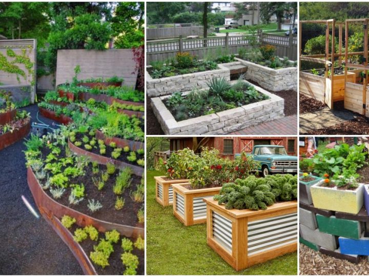 19 Effective Ways to Build a Raised Bed Garden