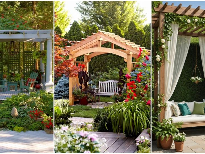 27 Stunning Pergola Designs Adorned with Lush Greenery