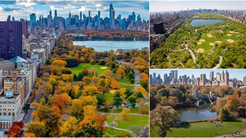 Central Park, New York: A Green Oasis in the Heart of the City